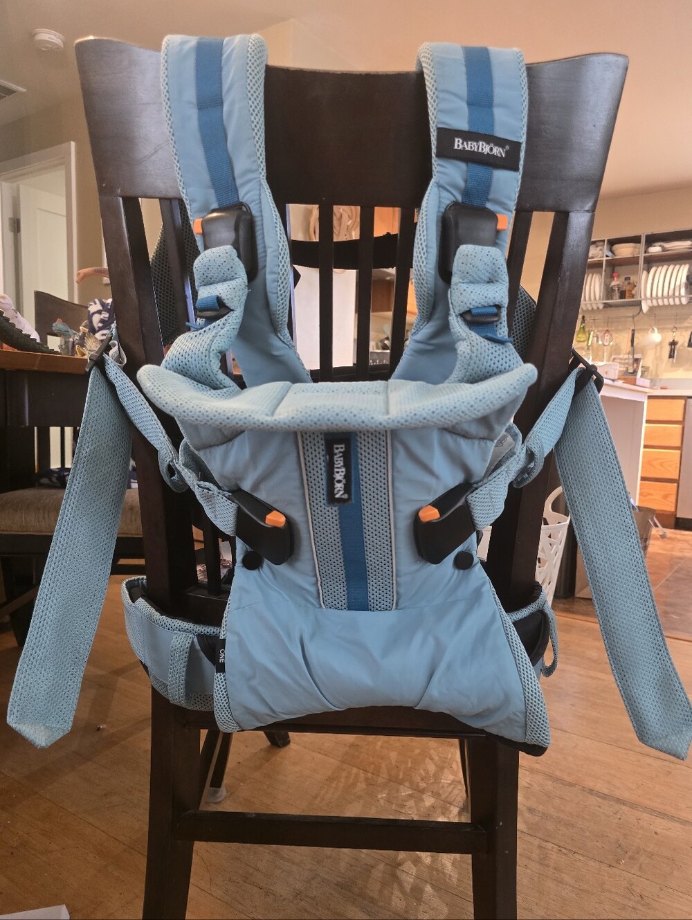 Baby Bjorn Baby One Outdoors